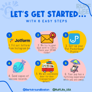 How it Works Bark around Boston